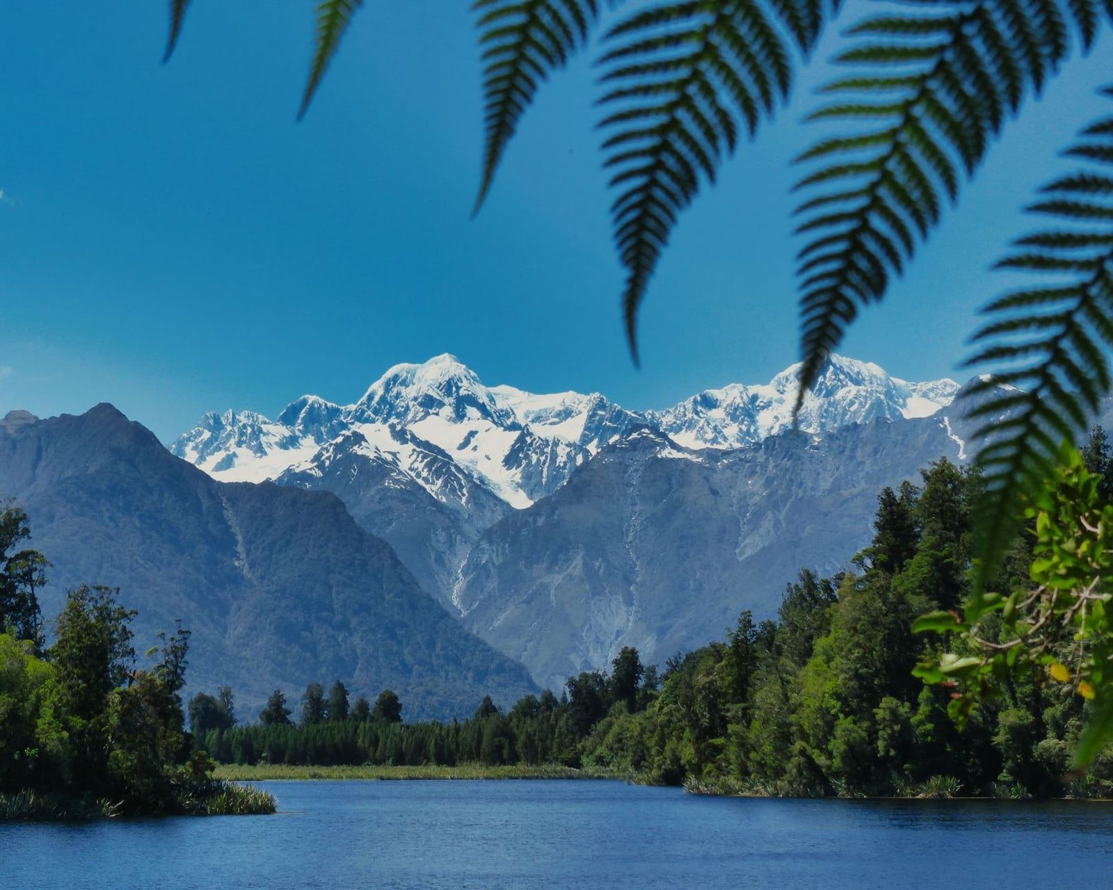 Snow-capped peaks of the Southern Alps rise beyond the calm waters of Lake Matheson, framed by green fern leaves near Franz Josef Glacier.
